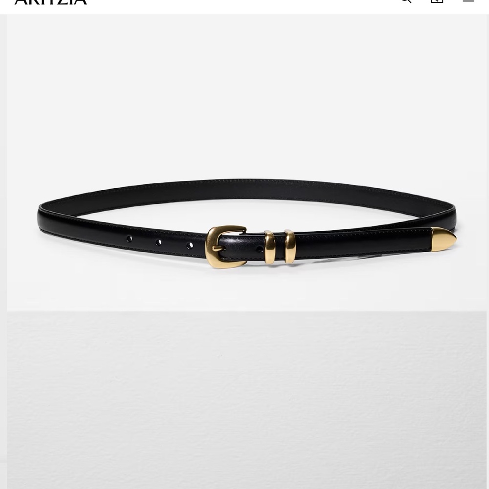 Aritzia legendary belt, gold and black, in new condition, size large